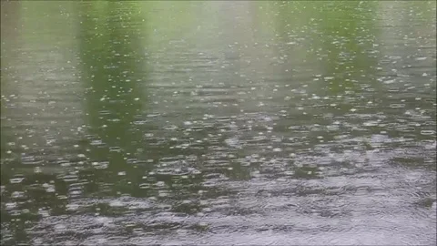 Rain falling on lake surface Stock Footage 93100653