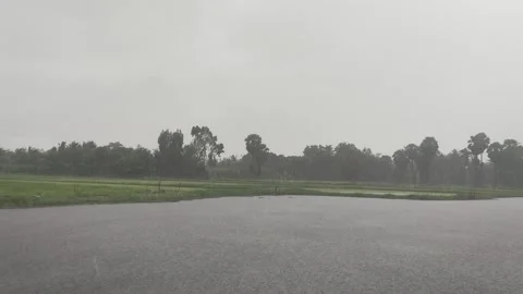 Rain Falling on Lake Surface with Ripples, Countryside Landscape with Sugar Stock Footage 345360943