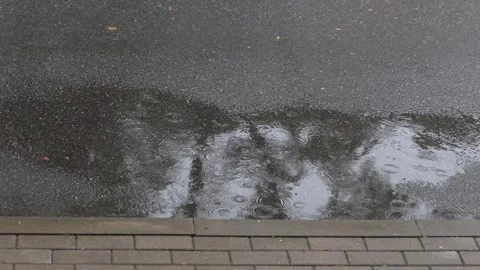 Rain falling in large puddle on asphalt next to sidewalk border 库存影片 338175641