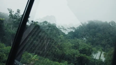 Rain falling on lush tropical forest seen through vehicle window Stock Footage 305355582