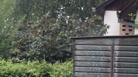 Rain falling on metal shed with trees and house in background Stock Footage 327107433