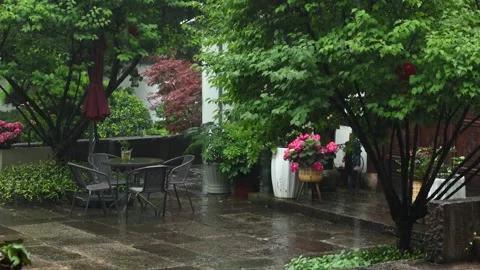 Rain Falling in a Moody Green Garden Courtyard Stock Footage 340148920
