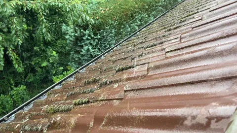 Rain falling on moss covered tiled roof Stock Footage 344717513
