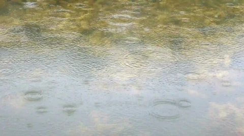 Rain falling on a mossy pond Video stock 449592