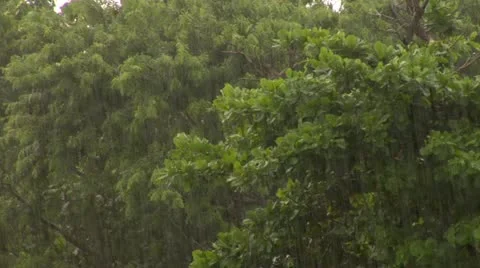 Rain falling in the Mountains Stock Footage 22158037