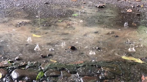 Rain Falling on Muddy Puddle Stock-Footage 107457193