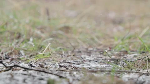 Rain falling on a muddy puddle Video stock 150288685