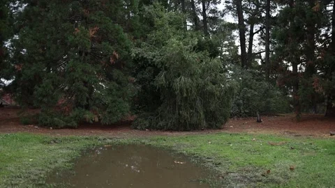 Rain falling on a muddy puddle in the garden during a downpour 動画素材 336518420