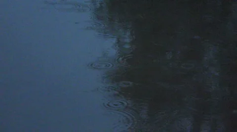 Rain Falling at Night Stock Footage 1019495