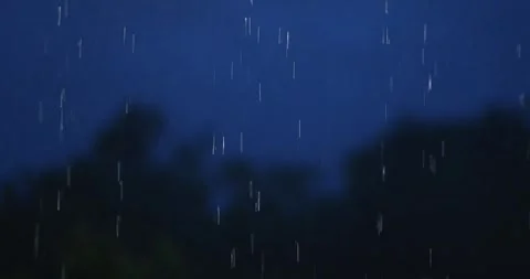 Rain falling at night with tree silhouettes in the background, peaceful nat.. Stock Footage 340195212