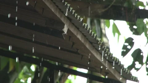 Rain falling on old roof. Video stock 65466548