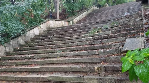 Rain Falling on Old Stone Stairs in Green Forest 4K Stock Footage 318735415