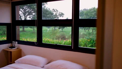 Rain falling outside a bedroom window overlooking a lush garden 스톡 동영상 341684781