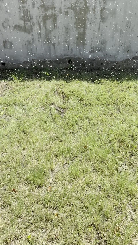 Rain Falling Over Grass Near Fence Stock Footage 346074985