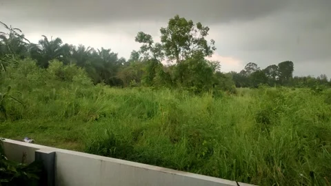 Rain falling over green grass field and rural countryside landscape Stock Footage 348257445