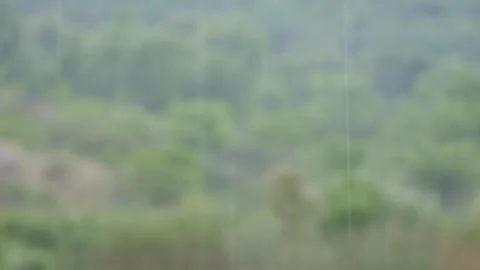 Rain falling over a green tropical jungle and misty hills, with dense foliage in Stock Footage 344943234