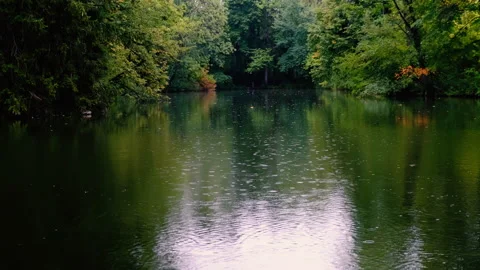 Rain falling over the lake in green forest Stock Footage 144475312