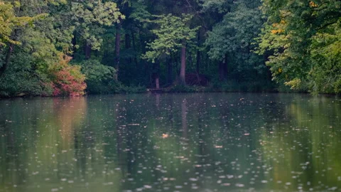 Rain falling over the lake in green forest Video stock 144475376