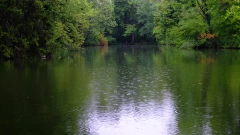 Rain falling over the lake in green forest Stock Footage 144475456