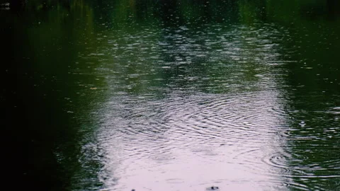 Rain falling over the lake in green forest Stock Footage 144475459