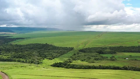 Rain falling over sugar cane fields in Brazil Stock Footage 255686648