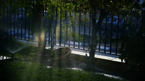 Rain Falling in Park - Relaxing Animation Scene Stock Footage 307896881