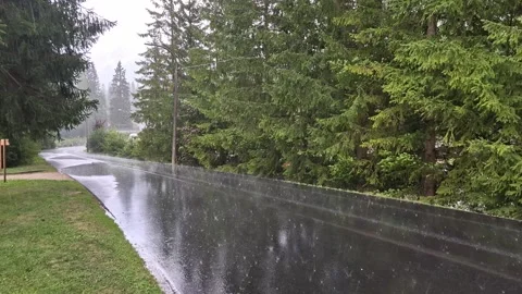 Rain falling on a paved road Video stock 283098085