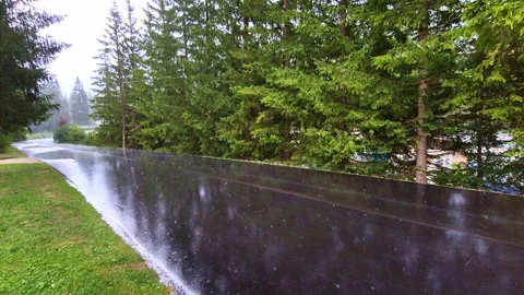 Rain falling on a paved road Video stock 283098102