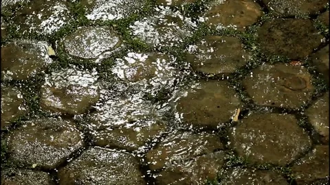 Rain falling on a paved urban stone block floor covered in damp moss at night Stock Footage 322554672