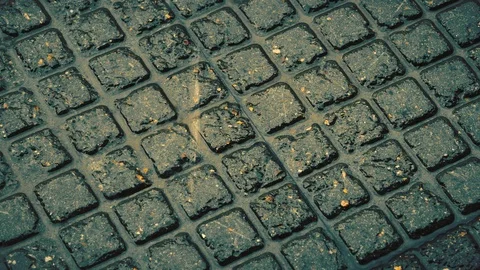 Rain falling on pavement. Stock Footage 109036485