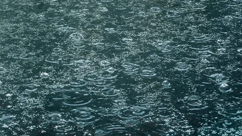 Rain falling on pavement. Stock Footage 109036502