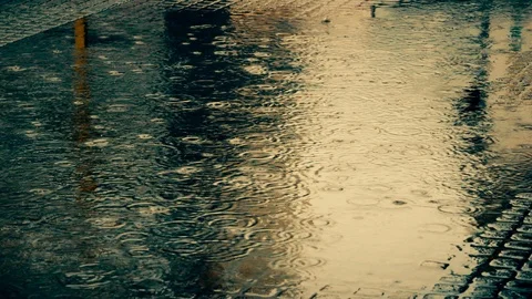 Rain falling on pavement. Stock Footage 109036508