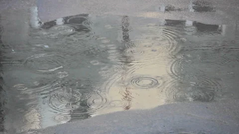 Rain falling on pavement at walking people and driving cars Stock Footage 112599962