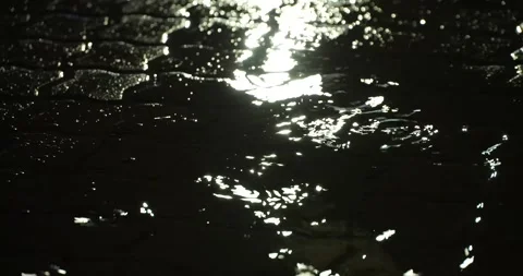 Rain falling on paving dancing with light close up Stock Footage 277388066