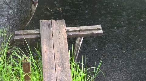 Rain falling into pond Stock Footage 67665976