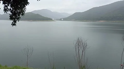 Rain falling in pond lake view Calm nature scenery in rainy day. Stock Footage 296101307