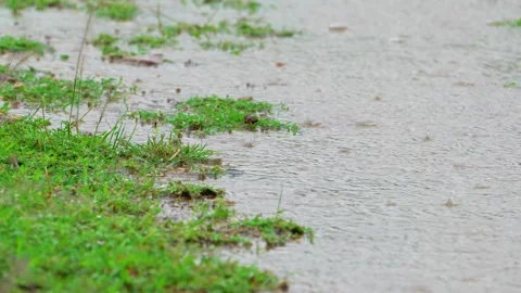 Rain falling on puddle creating ripples Stock Footage 322726287