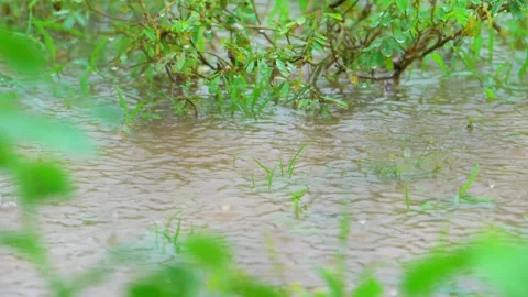 Rain falling on puddle creating ripples Stock Footage 322727292