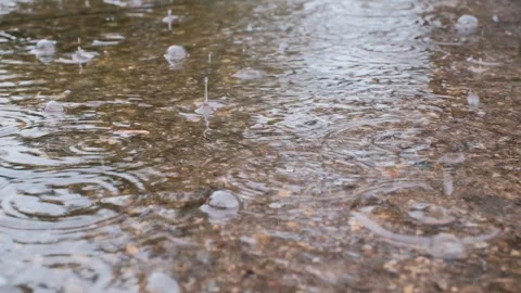Rain Falling in Puddle on Flooded Street Video Stock Footage 343891803
