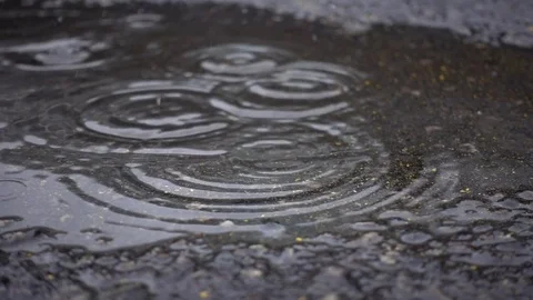 Rain falling in a Puddle Stock Footage