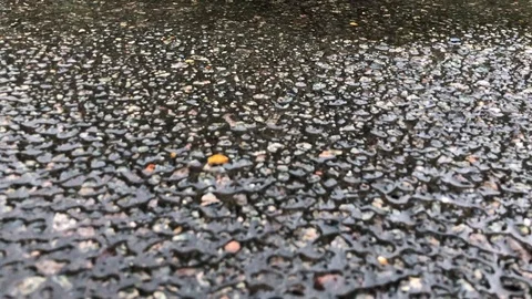 Rain falling in Puddle Stock Footage 109508398