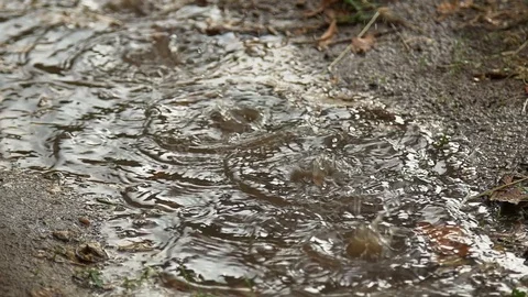 Rain falling in a puddle 스톡 동영상 128079673