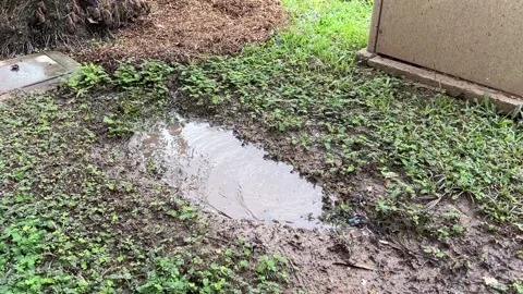 Rain Falling into Puddle of Mud Stock Footage 168855967