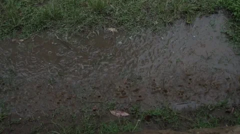 Rain falling puddle super slow motion Video stock 46550067