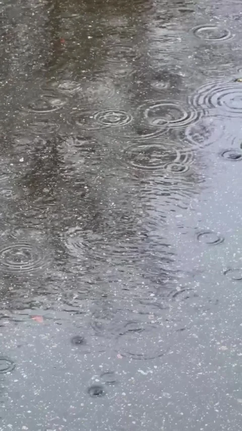 Rain falling on puddle surface creating ripple circles across wet asphalt Video stock 330122585