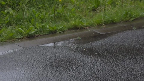 Rain falling into puddle on wet asphalt road next to green grass bank 库存影片 338175777