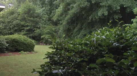 Rain Falling Push 1 스톡 동영상 27424758