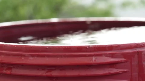 Rain is falling into a red barrel filled with water in the garden. Rainwater Stock Footage 240173362