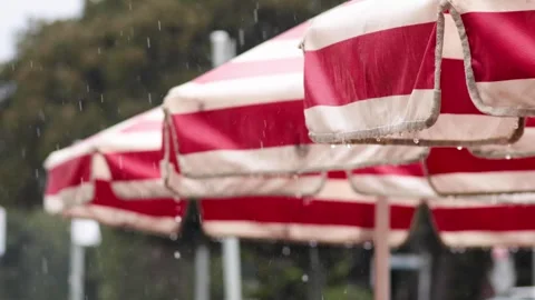 Rain Falling on Red Striped Umbrellas Vidéo 301270694