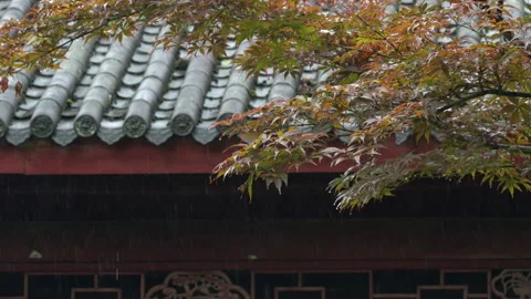 Rain Falling on Red Traditional Building Eaves with Maple Leaves Stock-Footage 342027500